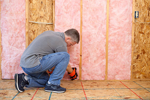 Best Basement Insulation  in Manchester, NH